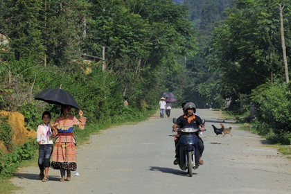 Vietnam, province de Lao Cai, région de Bac Ha, jeunes filles de la minorité Hmong Fleur
