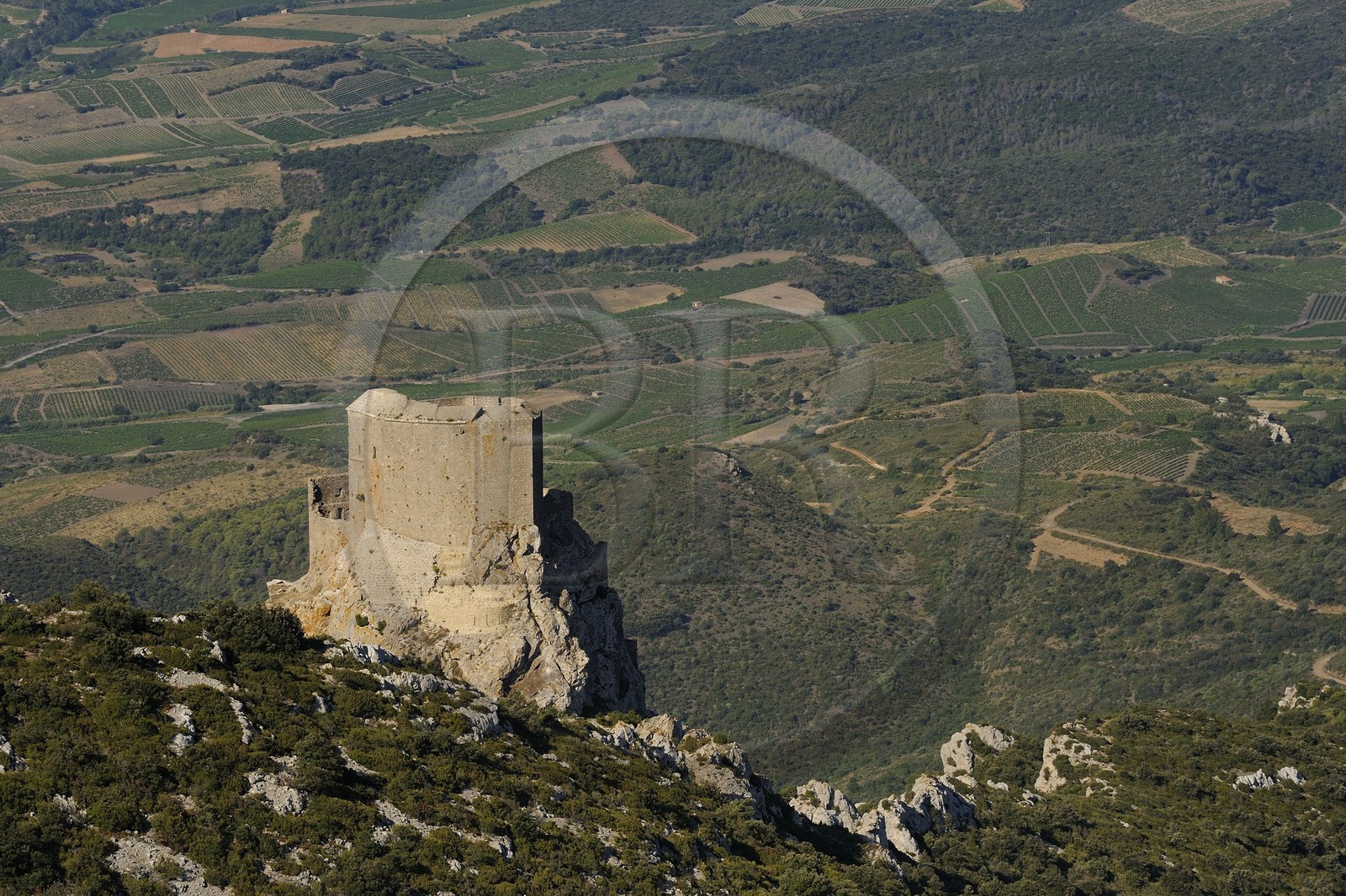 France, Aude, Cathar castle of Queribus (aerial view)