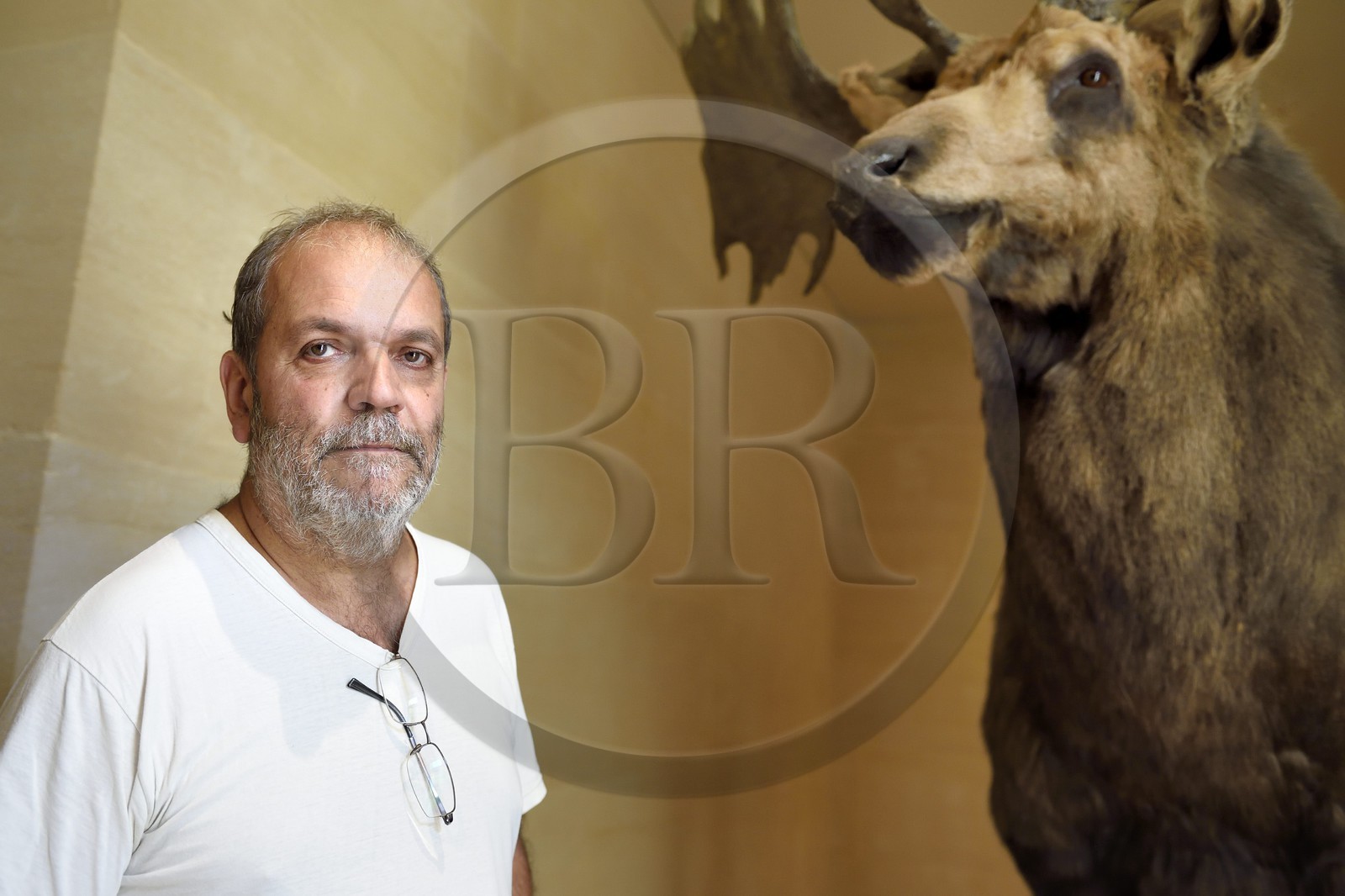France, Dordogne (24), Périgord Noir, vallée de la Vézère, Les Eyzies-de-Tayac-Sireuil, site classé Patrimoine Mondial de l'UNESCO, Musée National de la Préhistoire, le directeur Jean-Jacques Cleyet-Merle à côté d'un mégacéros