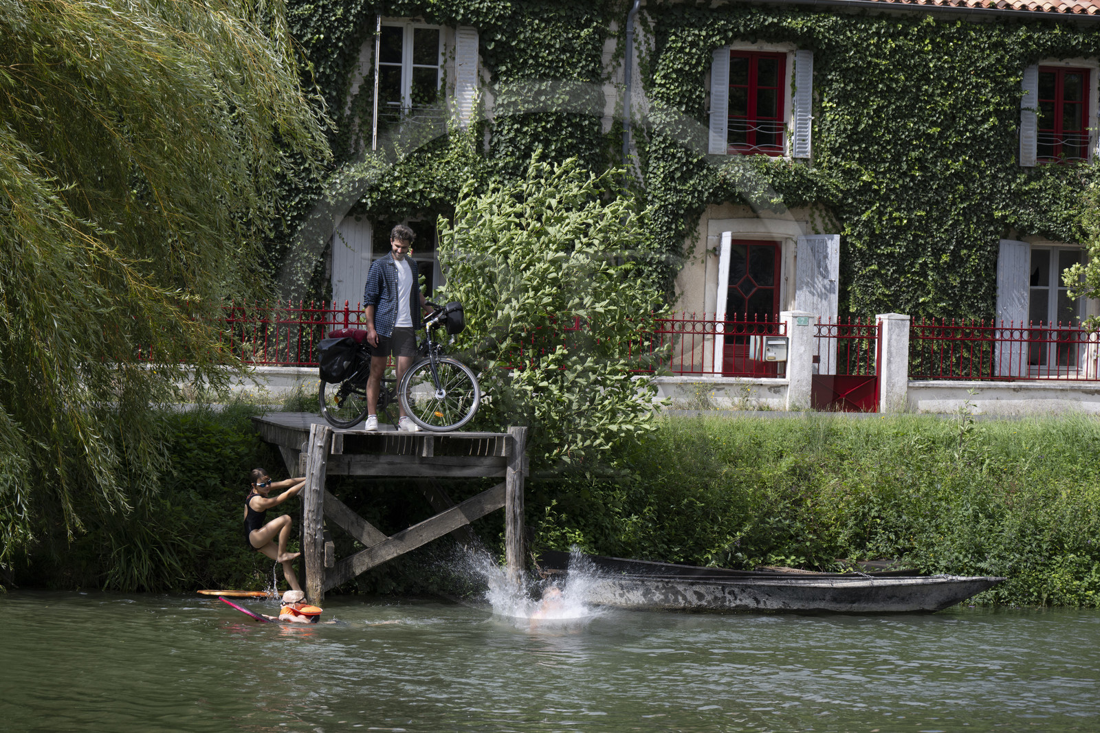 France, Deux-Sèvres (79), le Marais Poitevin, la Venise Verte, Le Mazeau, randonnée à bicyclette le long de la Sèvre Niortaise sur la voie cyclable de la Vélo Francette