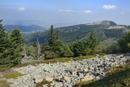 France, Loire (42), Parc Naturel Régional du Pilat, chirat (nom local donné aux coulées de blocs rocheux qui recouvrent les versants sous formes d'éboulis) au Crêt de l'Oeillon dans le massif du Pilat