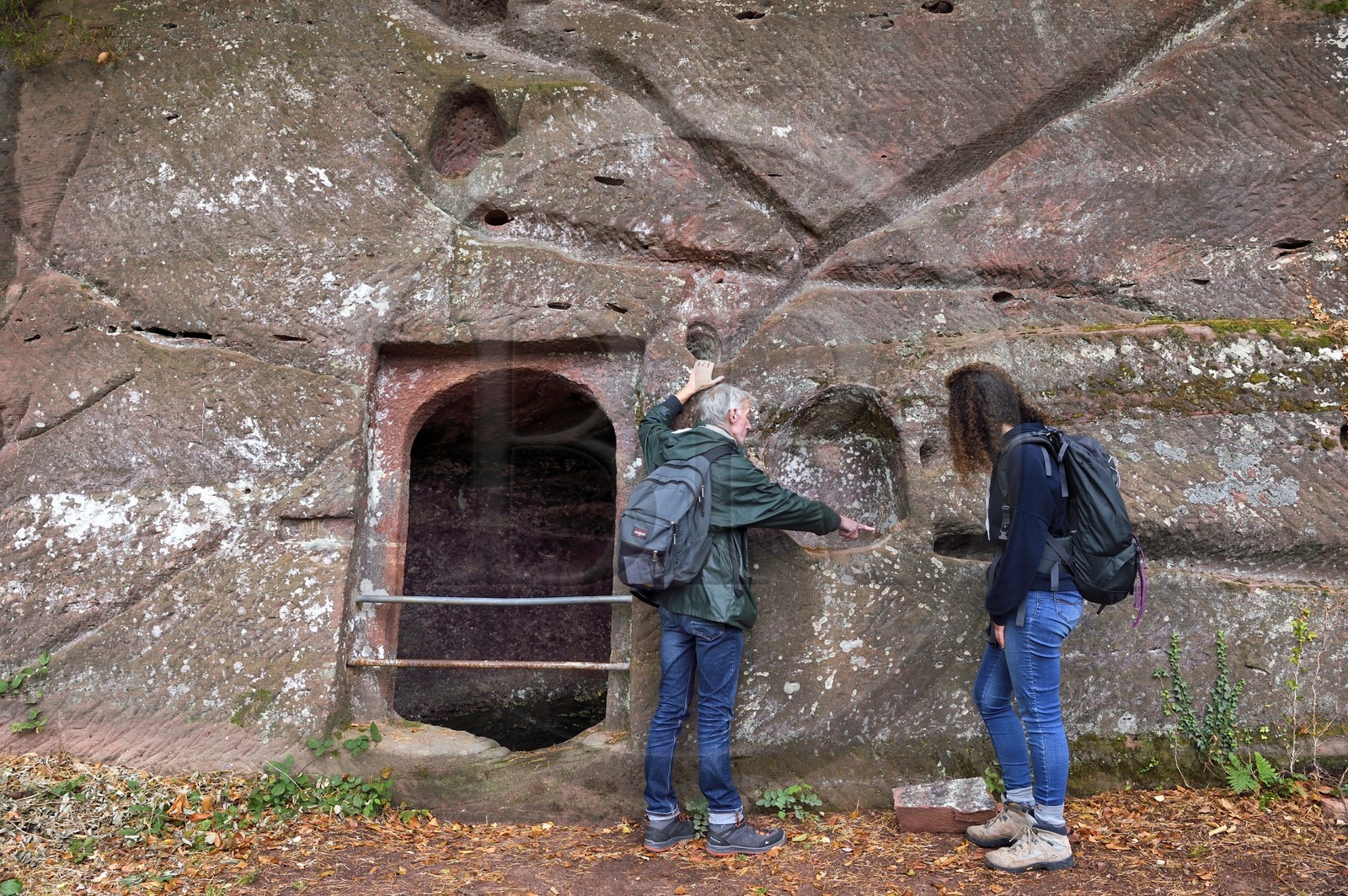 France, Bas-Rhin (67), Parc naturel régional des Vosges du Nord, Niedersteinbach, foret domaniale de Steinbach, ruines du chateau de Wasigenstein, Mathias Heissler, architecte du patrimoine au conseil départemental du Bas-Rhin, montre sur la paroi des canalisations qui sont taillées pour recueillir l’eau et l’amener vers une citerne