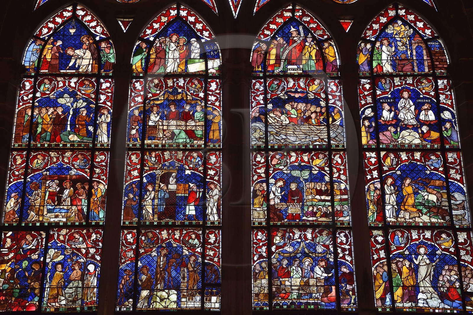 France, Bas-Rhin (67), Strasbourg, vieille ville classée au Patrimoine Mondial de l'UNESCO, la cathédrale Notre-Dame, les vitraux du bas coté sud de la nef datent du XIVème siècle et représentent les scènes de la vie du Christ et de la Vierge