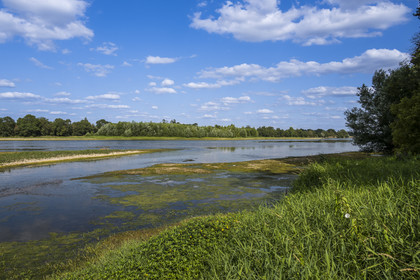France, Maine-et-Loire, Loire valley listed as World Heritage by UNESCO, Saumur towards Saint-Hilaire, sandbanks forming islands on the Loire