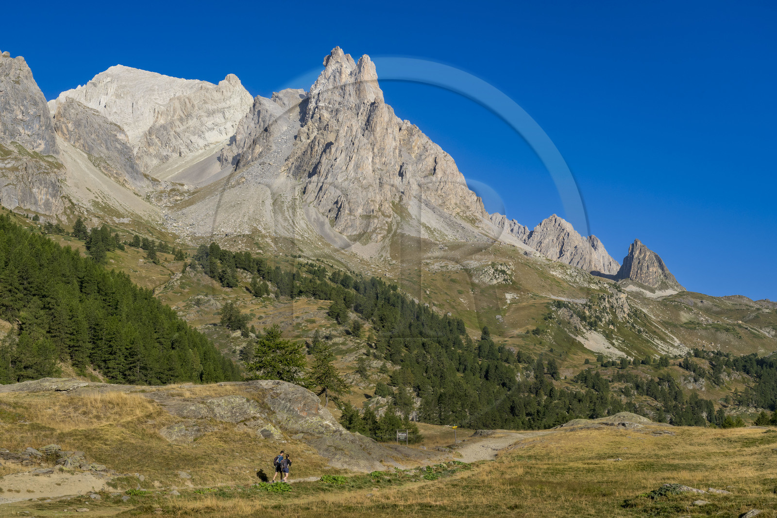 France, Hautes Alpes (05), le Briançonnais, Névache, randonneurs dans la vallée de la Clarée, le massif des Cerces et les pointes de la Main de Crépin (2942m) en arrière-plan