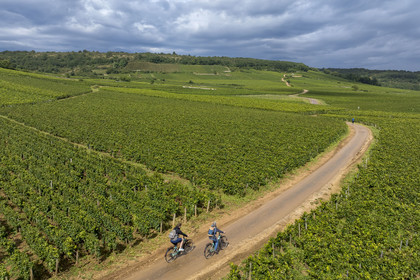 France, Côte-d'Or (21), Paysage culturel des climats de Bourgogne classés Patrimoine Mondial de l'UNESCO, vignoble de la Côte de Nuits, cyclotourisme sur la Route des Grands Crus à Vosne-Romanée