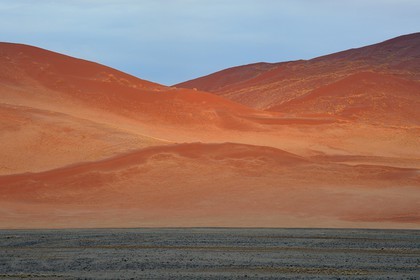 Namibie, région d'Hardap, désert du Namib, parc national du Namib-Naukluft, Erg du Namib classé Patrimoine Mondial de l'UNESCO, dunes de Sossusvlei