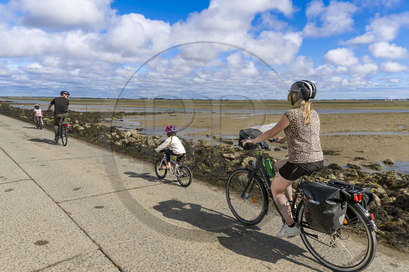 France, Vendée (85), île de Noirmoutier, Barbatre, cyclistes sur le passage du Gois, chaussée submersible qui relie l'île au continent à marrée basse