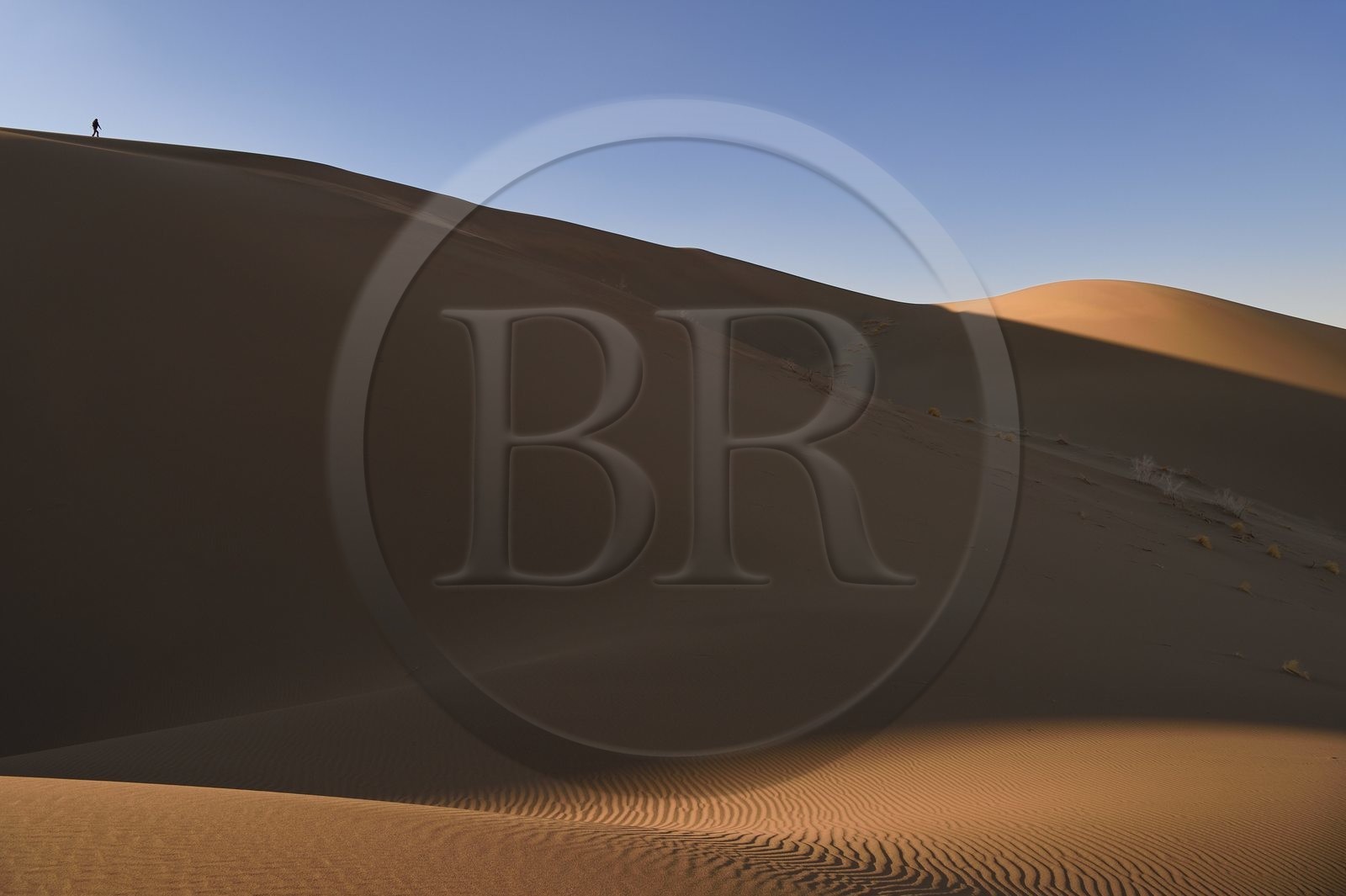 Iran, Province de Yazd, désert du Dasht-e Kavir, Moghestan, randonnée dans le massif dunaire dont la plus haute dune atteint les 200 mètres