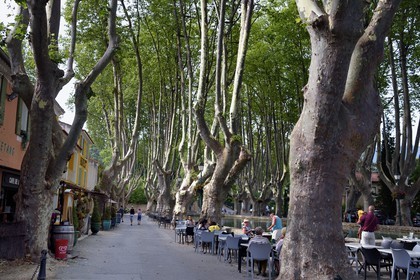 France, Vaucluse, Parc Naturel Regional du Luberon (Natural Regional Park of Luberon), Cucuron, labelled Les Plus Beaux Villages de France (The Most Beautiful Villages of France), the basin of the pond surrounded by centennial plane trees