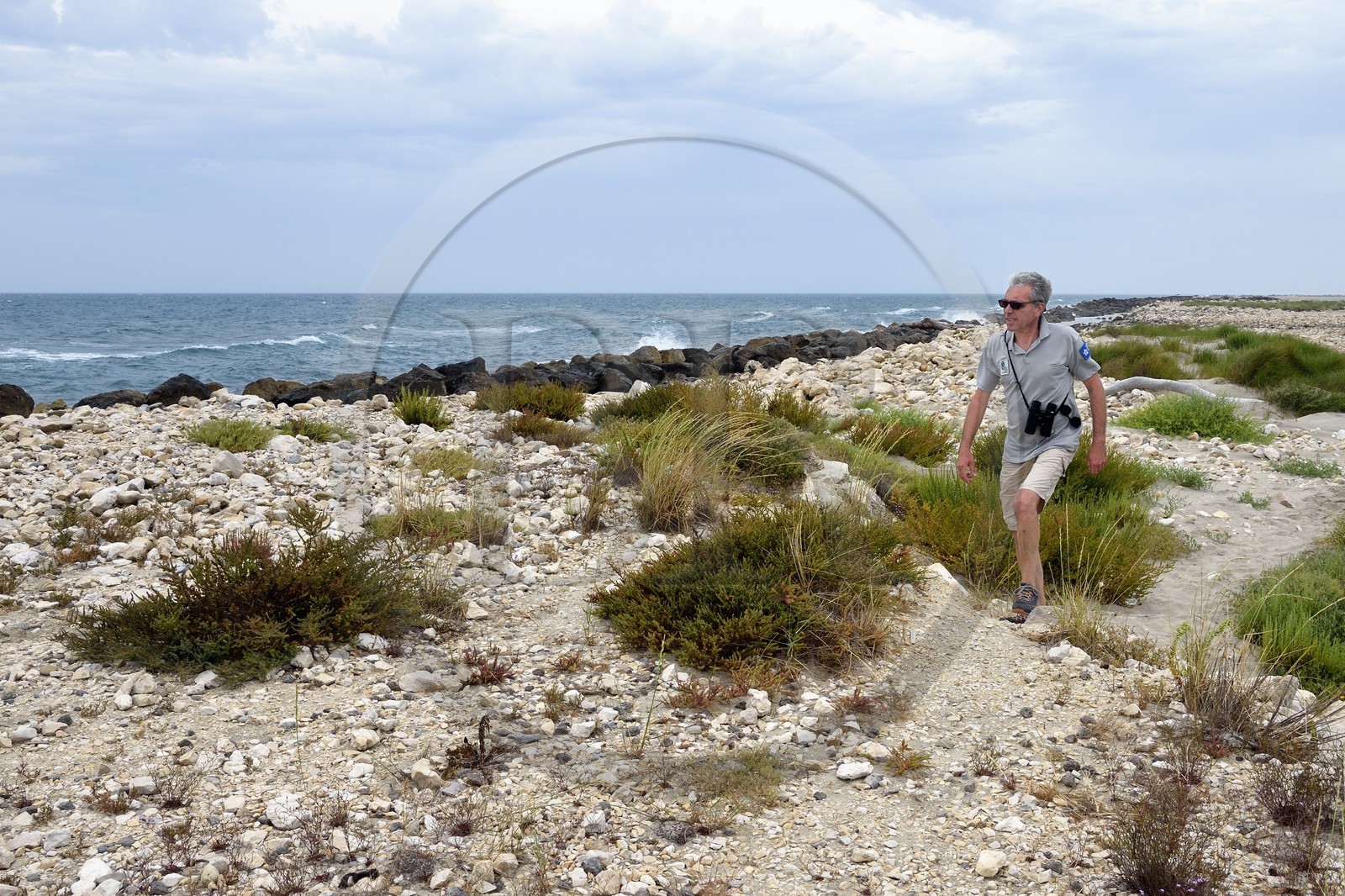 France, Bouches-du-Rhône (13), Parc naturel régional de Camargue, la grande digue frontale en bordure de mer