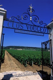 France, Côte d'Or, the Clos de Vougeot property vineyard entrance