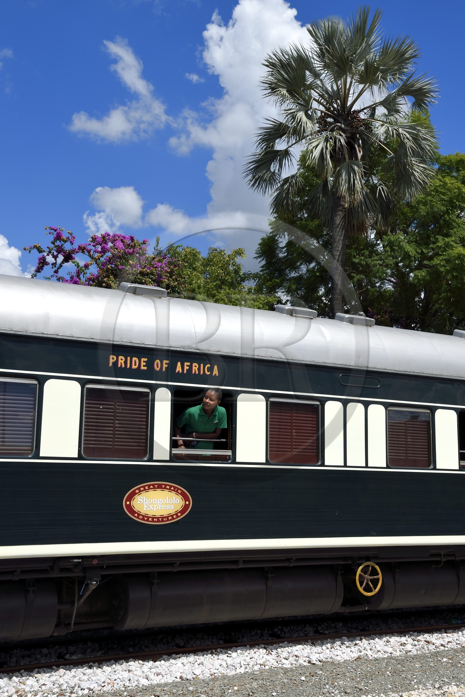 Namibia, Otjozondjupa region, the Shongololo express train in Otjiwarongo station