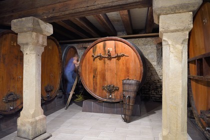 France, Bas-Rhin (67), Route des vins d'Alsace, Mittelbergheim, labellisé Les Plus Beaux Villages de France, caves souterraines du XVIème siècle du domaine viticole GILG, foudre centenaire