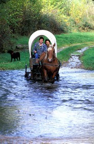 France, Saone et Loire, Morvan region, wagon crossing a river near the village of Celle en Morvan