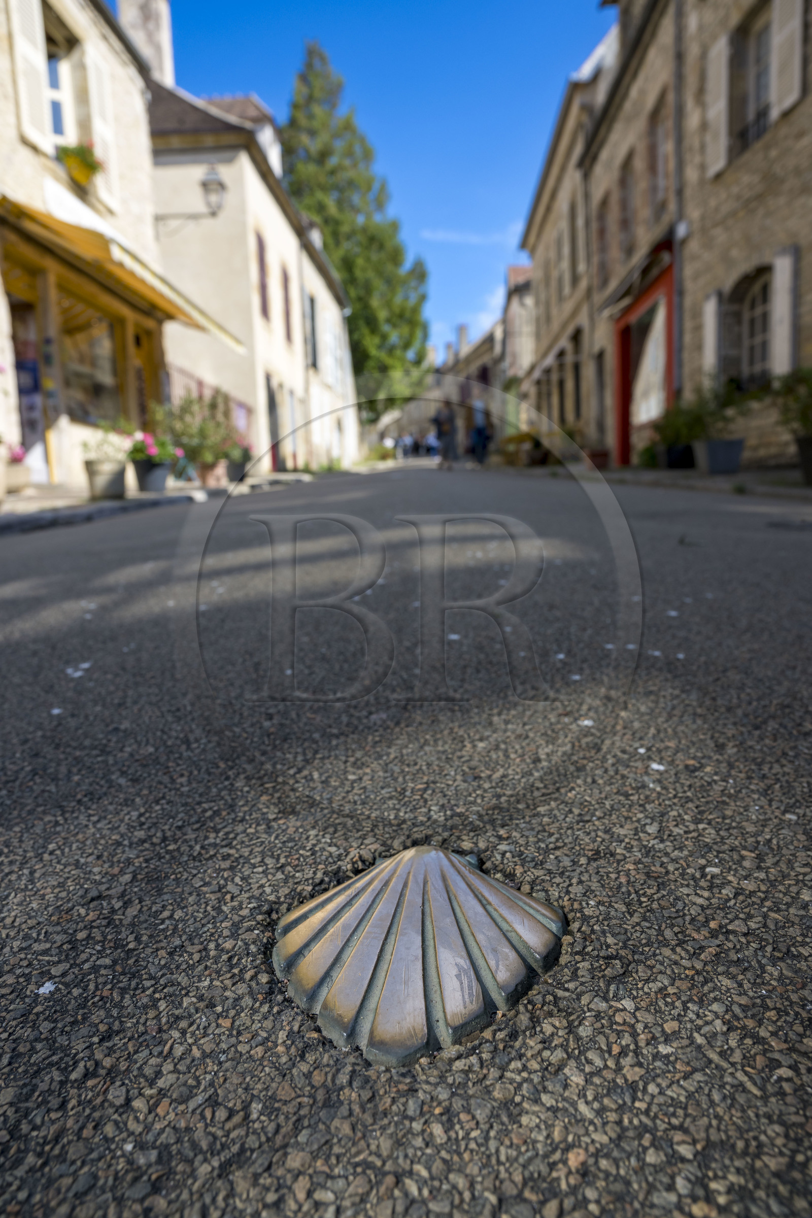 France, Yonne, regional natural park of Morvan, Vézelay, a UNESCO World Heritage site, labelled Les Plus Beaux Villages de France, starting point of one of the main ways to Santiago de Compostela, bronze urban nail that marks the Way of Saint James on the main street