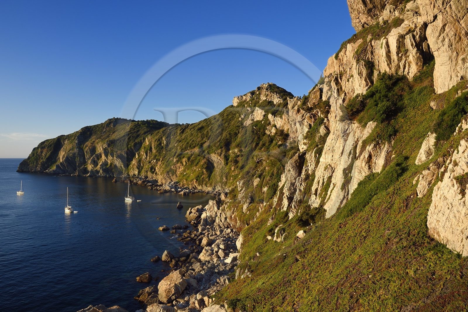 France, Var (83), Iles d'Hyères, parc national de Port Cros, Ile de Porquerolles, le cap des Mèdes
