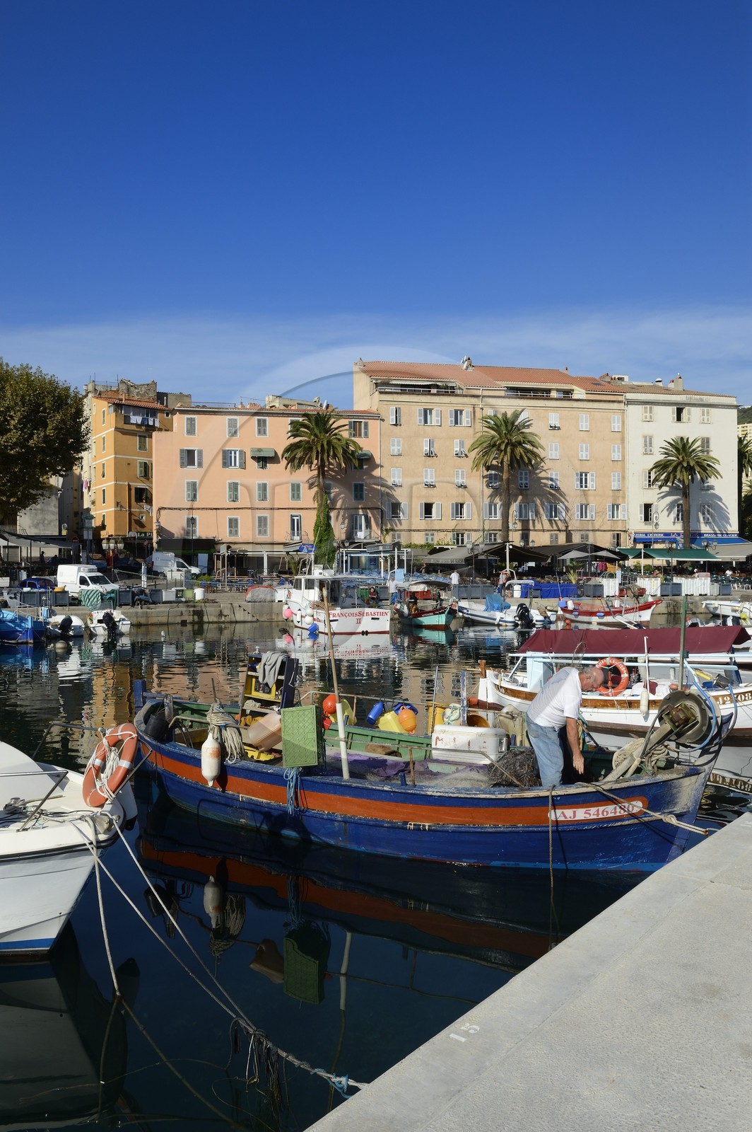 France, Corse-du-Sud (2A), Ajaccio, le port de pêche Tino Rossi  et le quai Napoleon