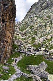 France, Alpes-Maritimes, parc national du Mercantour (Mercantour National Park), the Vallee des Merveilles (Valley of Wonders) scattered with thousands of rupestral engravings of the Bronze Age, the glazed wall that borders the GR 52