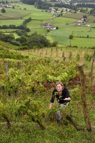 France, Pyrénées-Atlantiques (64), Pays-Basque, Saint-Jean-Pied-de-Port, Ispoure, vignoble du Domaine Mourguy, AOC Irouleguy, Florence Mourguy