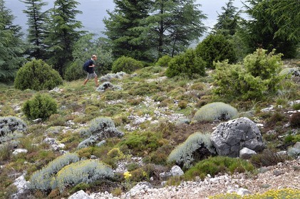 France, Var (83), Plan-d'Aups-Sainte-Baume, parc naturel régional de la Sainte-Baume, Massif de la Sainte-Baume, randonneur sur le GR 98 au sommet de la falaise entre le Saint-Pilon et le Pic de Bretagne, Benoit Milan chargé de mission Education à l'environnement et au territoire au sein du Parc