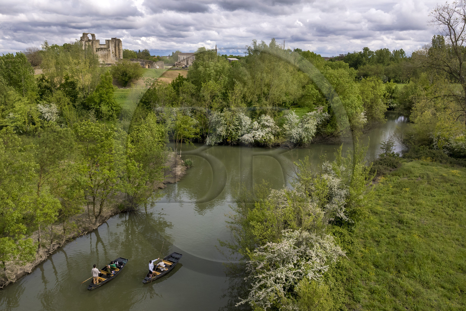 France, Vendée (85), Parc Interrégional du Marais Poitevin labellisé Grand Site de France, Maillezais, batelier effectuant une promenade en barque sur les affluents de l'Autise, les vestiges de l'abbaye Saint-Pierre de Maillezais en arrière plan (vue aérienne)