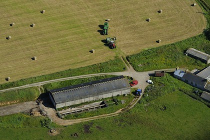 Royaume-Uni, Ecosse, Iles Orcades, Ile de South Ronaldsay, travaux agricoles, goélands se nourissent dans la terre retournée par le tracteur (vue aérienne)