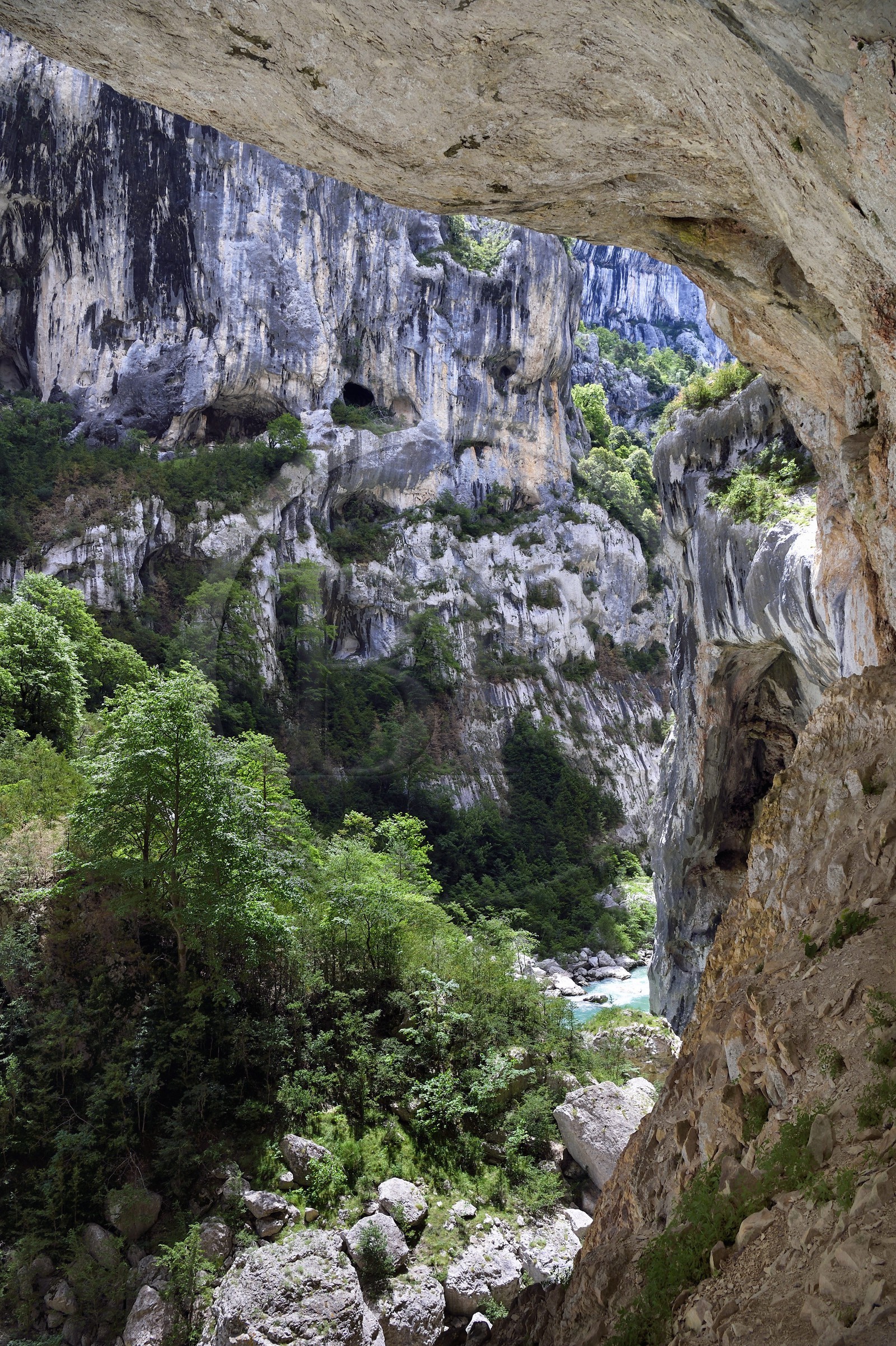 France, Alpes-de-Haute-Provence (04), Parc Naturel Régional du Verdon, Rougon, Grand Canyon du Verdon, la rivière du Verdon dans le couloir Samson, vu depuis le sentier Blanc-Martel sur le GR4