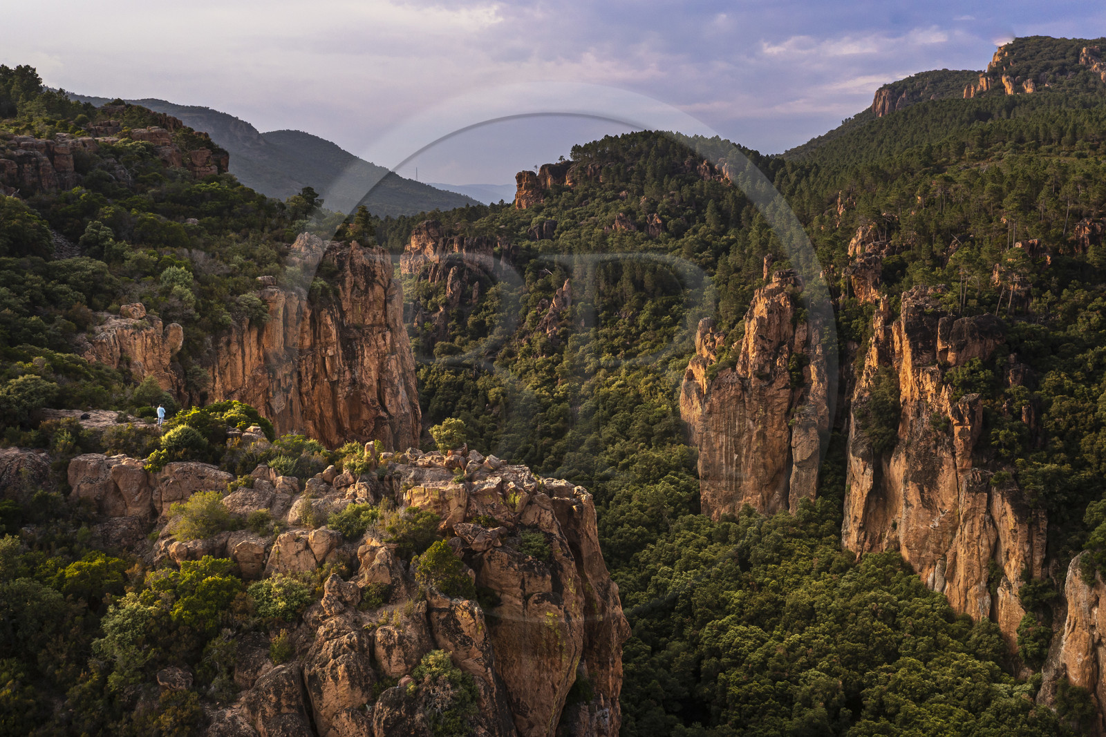 France, Var, between Bagnols en Foret and Roquebrune sur Argens, hiker at the entrance of the Gorges du Blavet (aerial view)