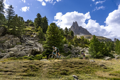 France, Hautes Alpes, Briancon region, Nevache, mountain bikers in the Clarée Valley, the Cerces massif and the peaks of the Main de Crépin (2942m) in the background