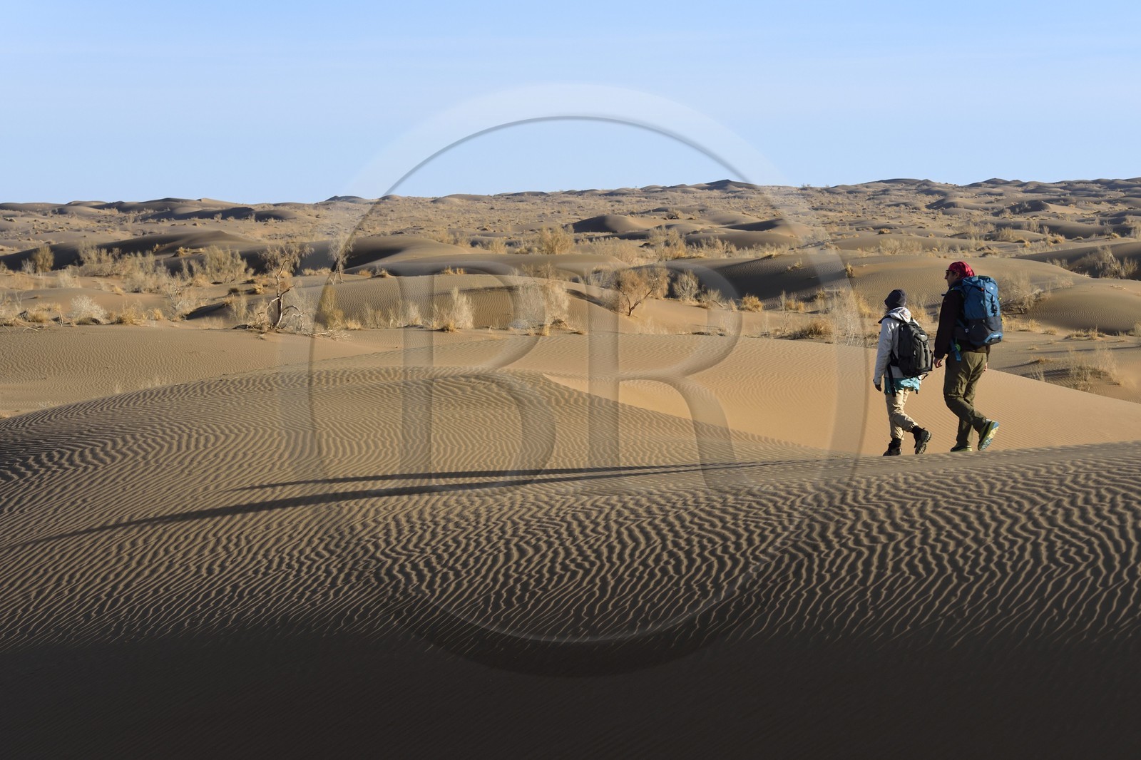 Iran, Province d'Ispahan, désert du Dasht-e Kavir, Mesr dans la région de Khur et Biabanak, randonnée dans les dunes du désert