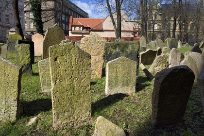 République Tchèque, Prague, centre historique classé Patrimoine Mondial de l'UNESCO, quartier juif de Josefov, cimetière juif et la synagogue Pinkas en arrière plan