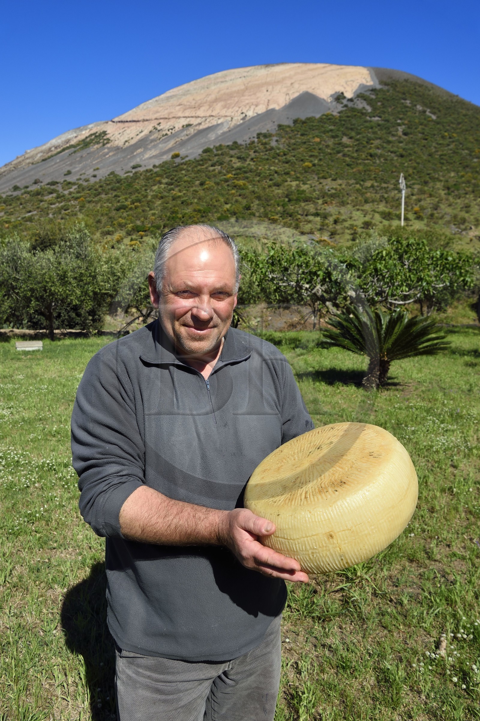Italie, Sicile, iles Eoliennes, classées Patrimoine Mondial de l'UNESCO, ile de Vulcano, La Vecchia Fattoria, le berger et fromager de chèvre Fabrizio Lo Piccolo au pied du volcan