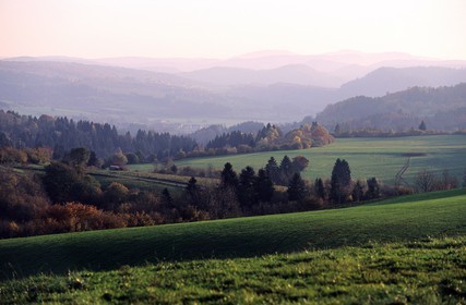 France, Jura (39), paysage près de la source de l'Ain