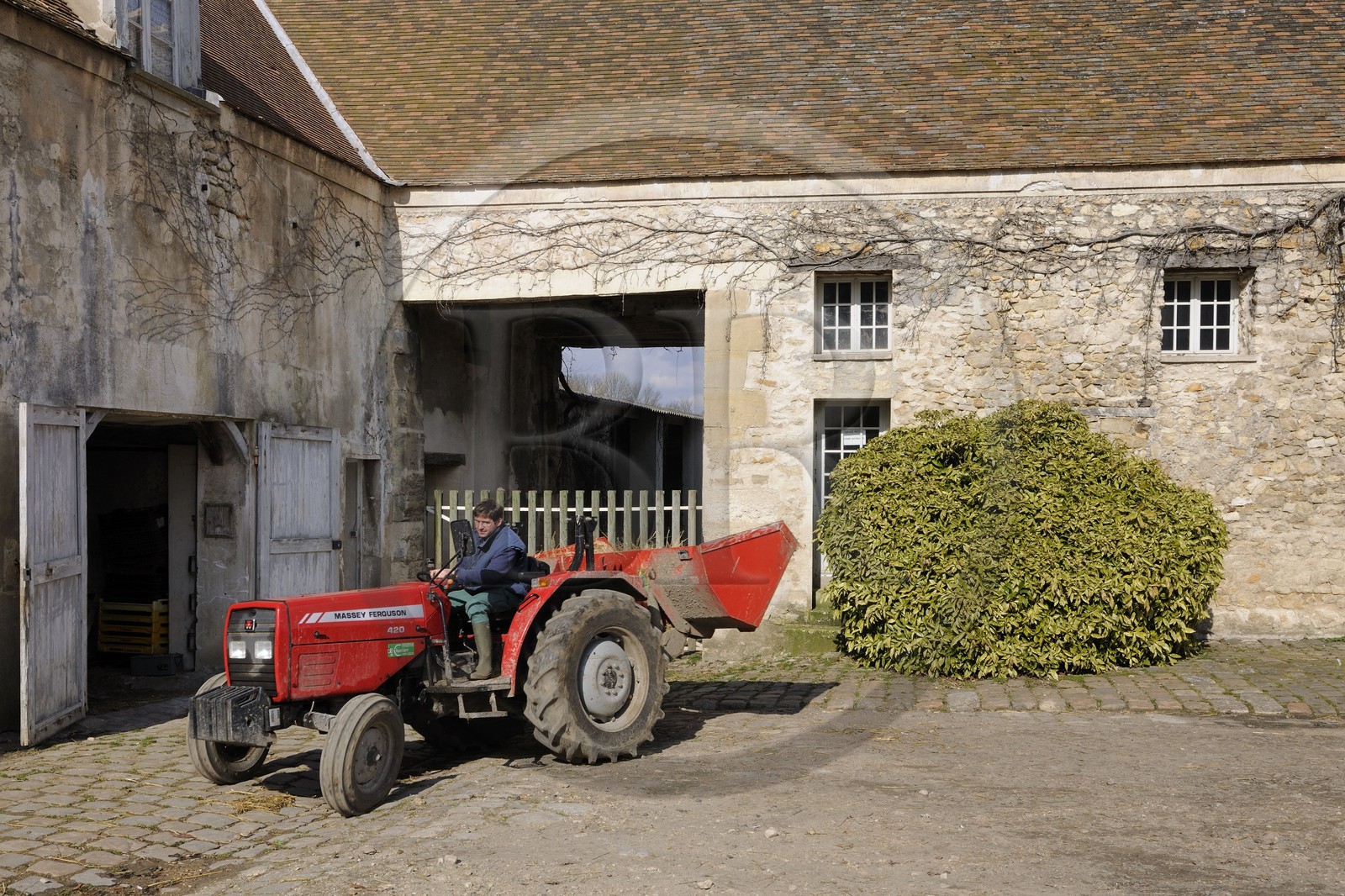 France, Yvelines, Saint Cyr l'Ecole, Gally Farm (self-service kitchen garden) in the Versailles Estate