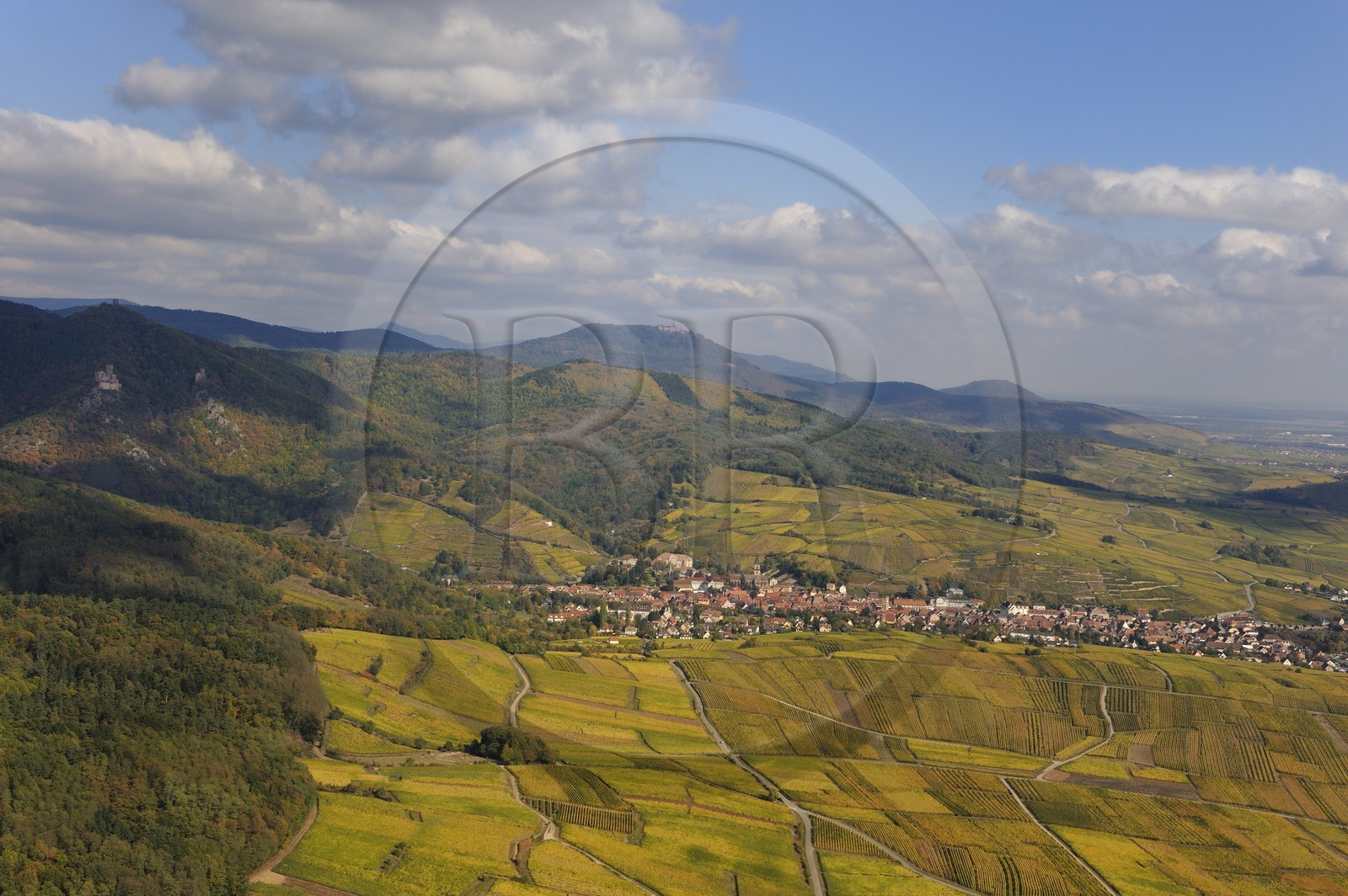 France, Haut Rhin, Ribeauville and its vineyard at the bottom of Vosges Massif (aerial view)