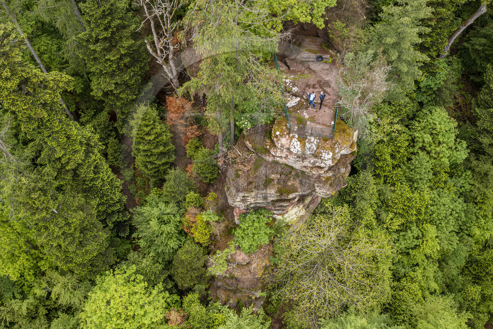France, Bas-Rhin (67), Parc Naturel régional des Vosges du Nord, La Petite Pierre, le Rocher Blanc, rocher de grès rose du sentier des Trois Roches auquel le lichen clair a donné son nom (vue aérienne)