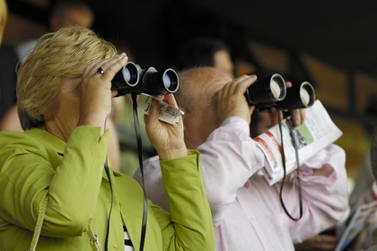 Republic of Ireland, County Meath, Ratoath, Fairyhouse racecourse, racegoers