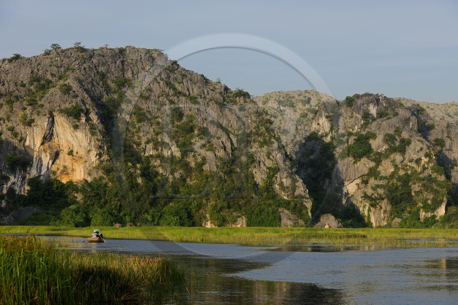 Vietnam, province de Ninh Binh, région surnommée la baie d'Halong terrestre, réserve naturelle de Van Long et ses paysages karstiques