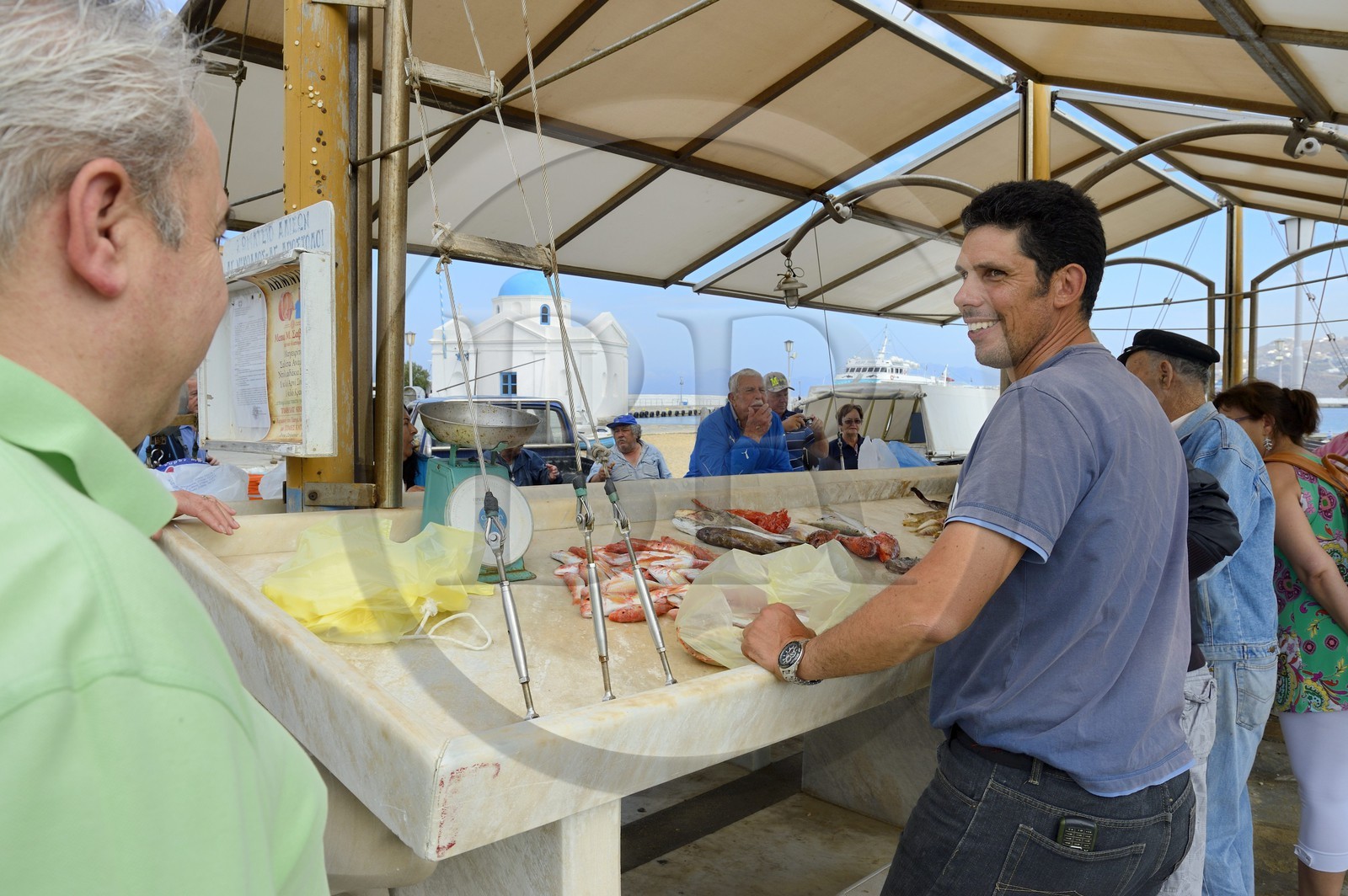 Grèce, Les Cyclades, mer Égée, île de Mykonos, Chora (Mykonos town), marché aux poissons sur le port