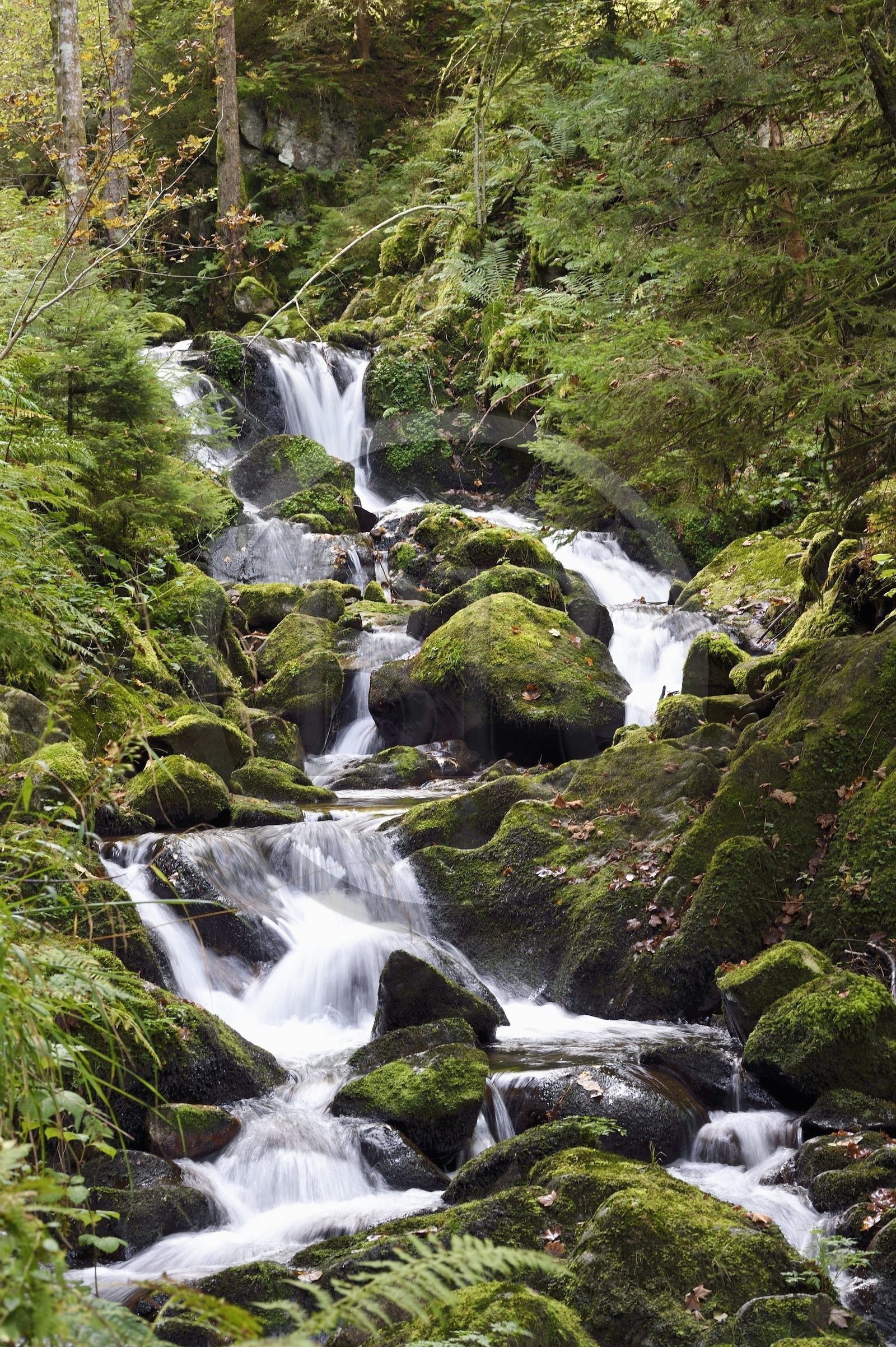 France, Vosges, Le Valtin, village in the upper valley of the Meurthe, waterfall