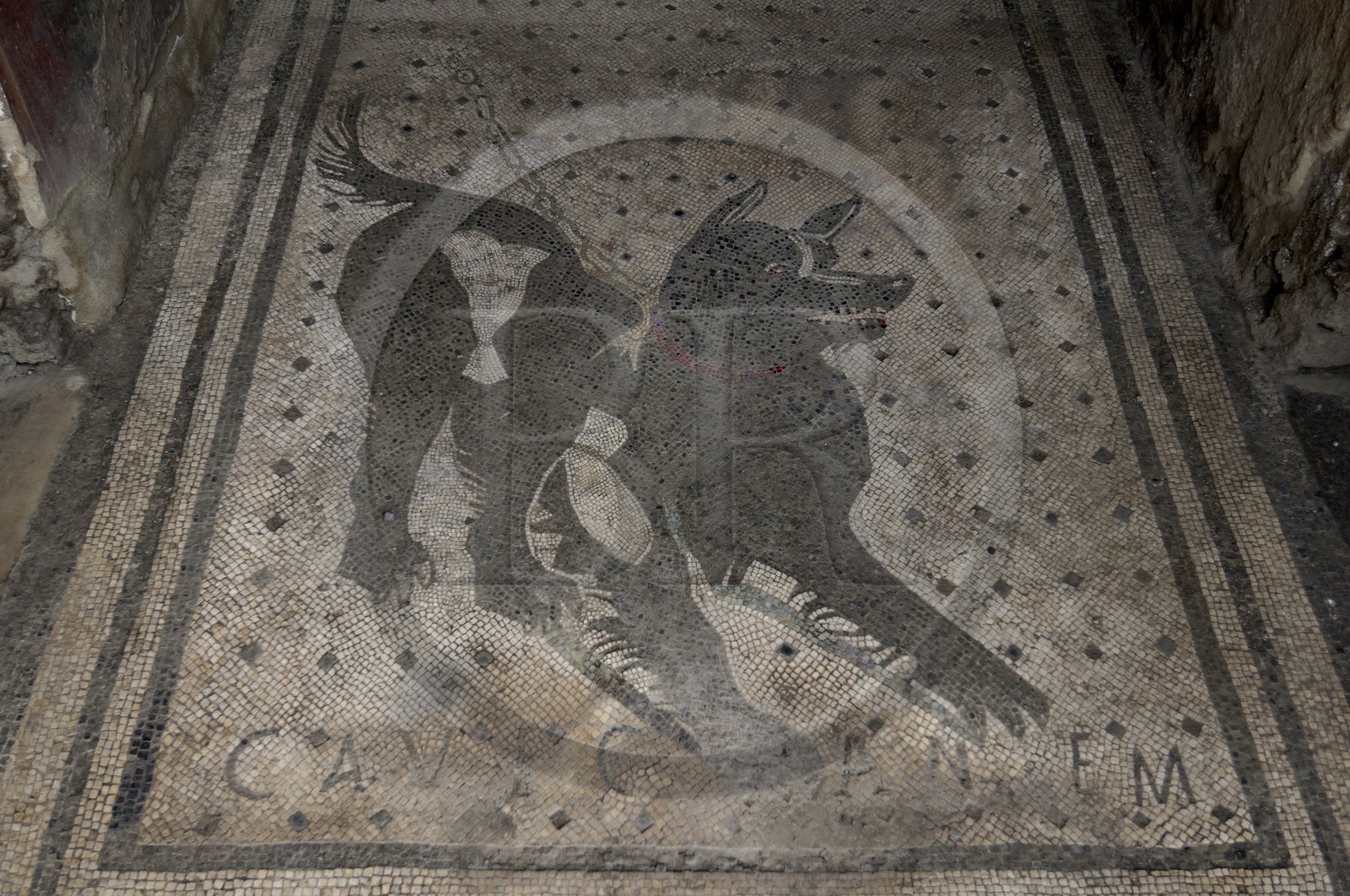 Italie, Campanie, Pompei, site archéologique classé Patrimoine Mondial de l'UNESCO, maison du Poète Tragique, la mosaïque Cave Canem (attention au chien)