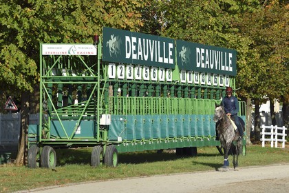France, Calvados (14), Pays d'Auge, Deauville, Hippodrome de Deauville-La Touques, cavalier devant les stalles de départ