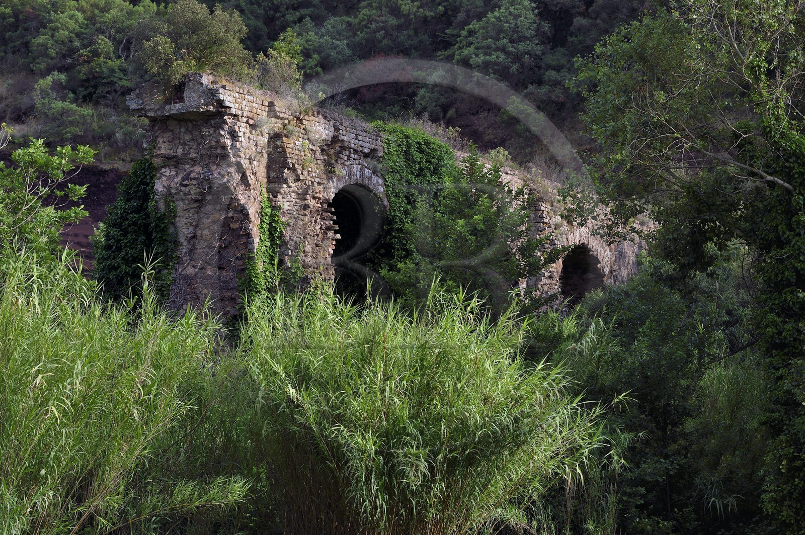 France, Var, Frejus, the Roman aqueduct of the 1st century BCE north of the city