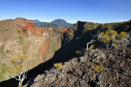 France, Ile de la Reunion, Parc National de la Réunion classé Patrimoine Mondial de l'UNESCO, le Cratère Commerson sur les flans du volcan Piton de la Fournaise et l'ancien volcan du Piton des Neiges en arrière plan