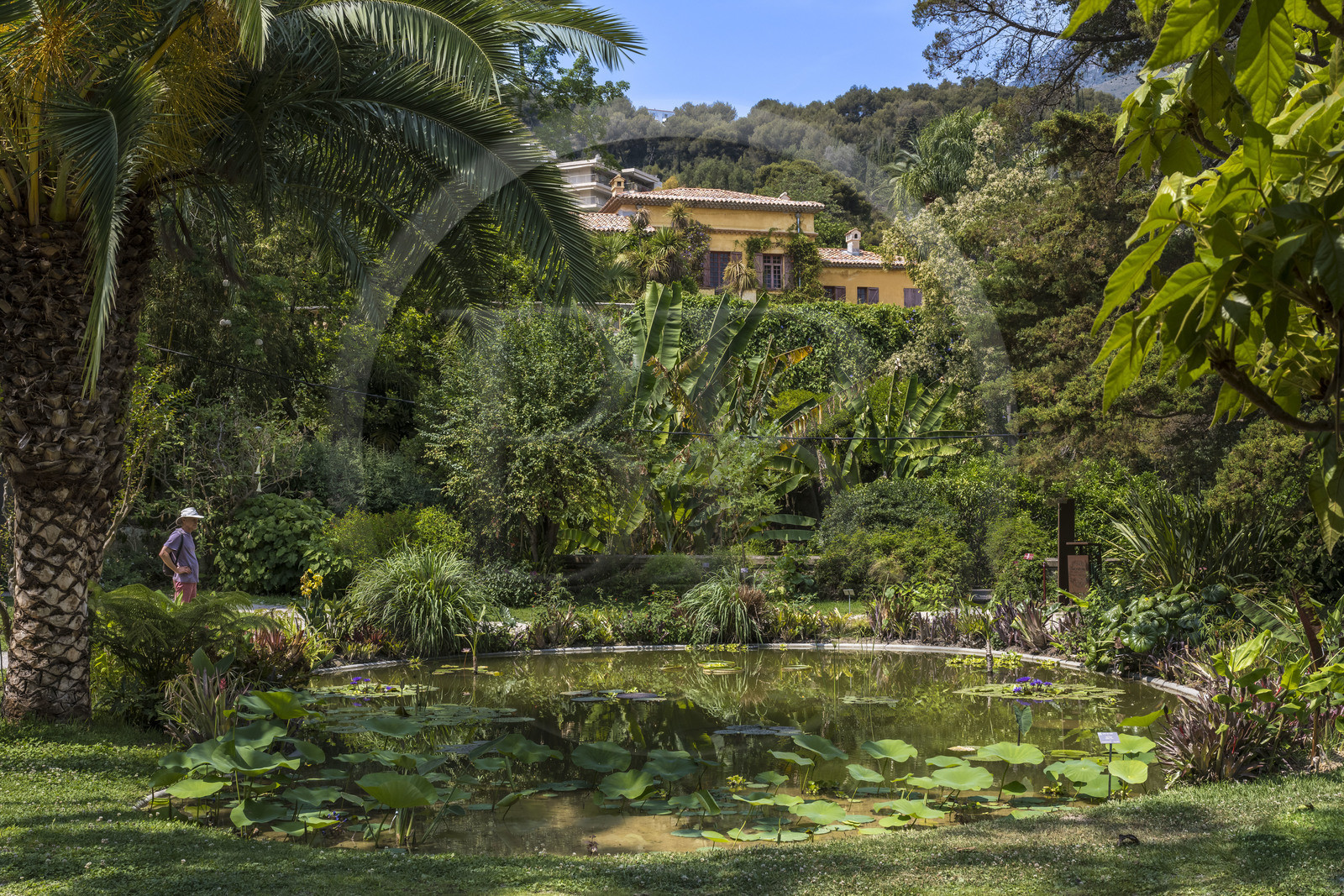 France, Alpes-Maritimes (06), Menton, bassin aux nénuphares et villa du Jardin botanique exotique du Val Rahmeh