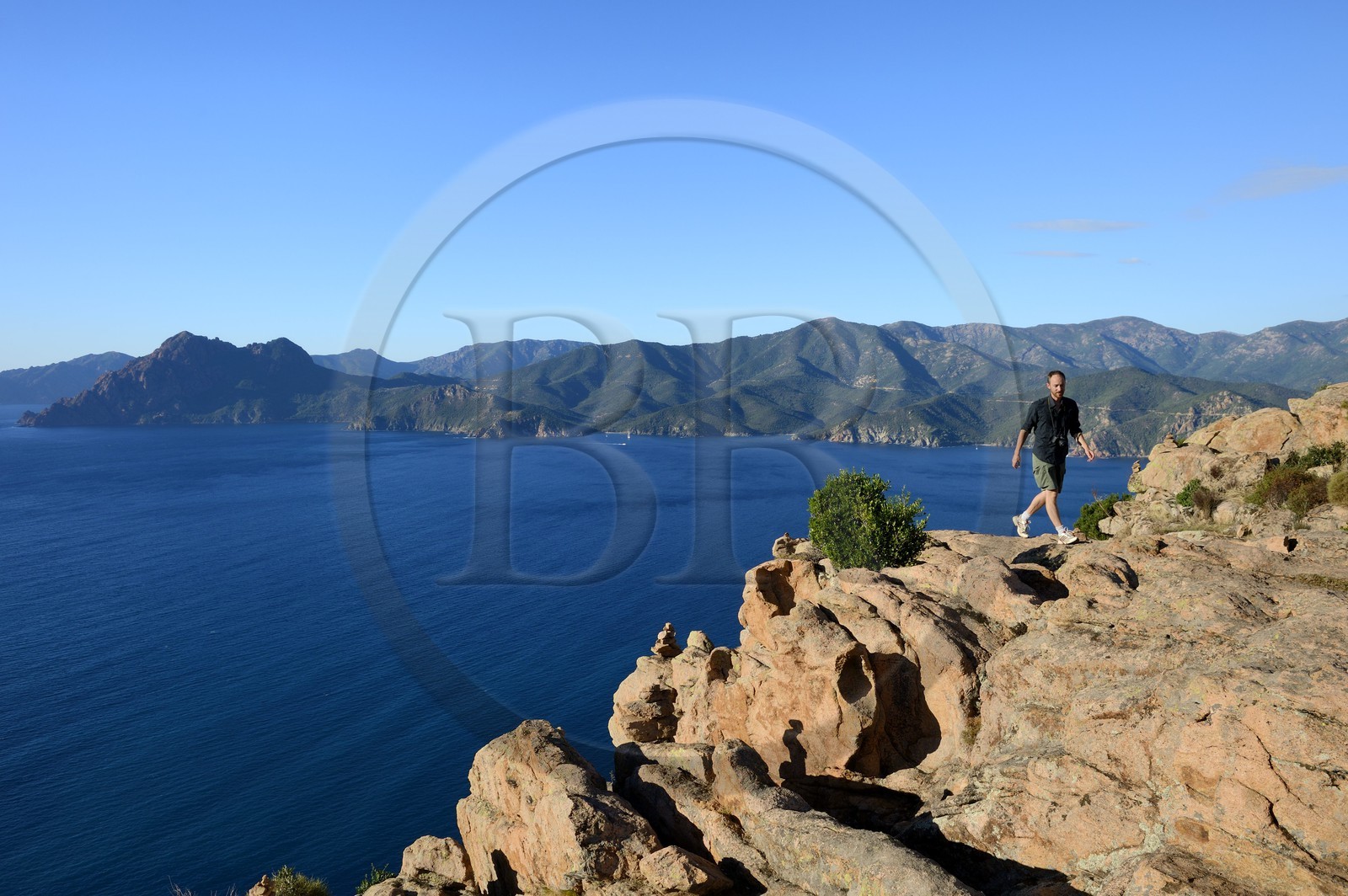 France, Corse-du-Sud (2A), Golfe de Porto, classé Patrimoine Mondial de l'UNESCO, calanches de Piana aux rochers de granit rose depuis le lieu dit du Chateau-Fort, le Capo Senino à gauche en arrière plan