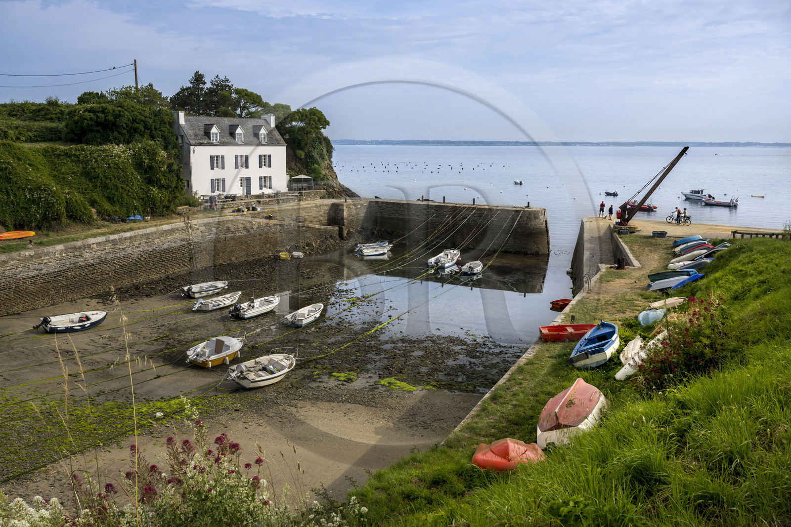 France, Morbihan, Groix Island, the small Port Lay