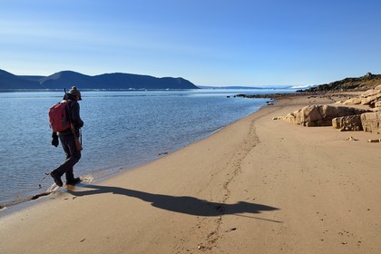 Groenland, cote Nord-Ouest, Murchison sound au nord de la baie de Baffin, Robertson fjord, sur une plage de Siorapaluk, village le plus septentrional du Groenland, la plupart de ses habitants vivent de la chasse