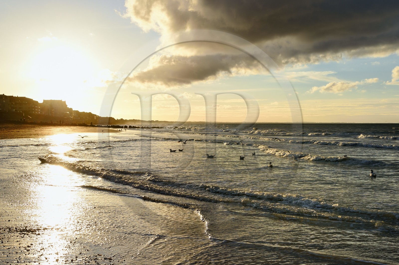 France, Calvados (14), Pays d'Auge, la côte Fleurie, Cabourg, goélands sur la plage de la station balnéaire au coucher de soleil
